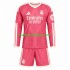 Camisola Real Madrid Criança Equipamento Terceiro 2026-2027 Manga Comprida